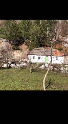 Building 1