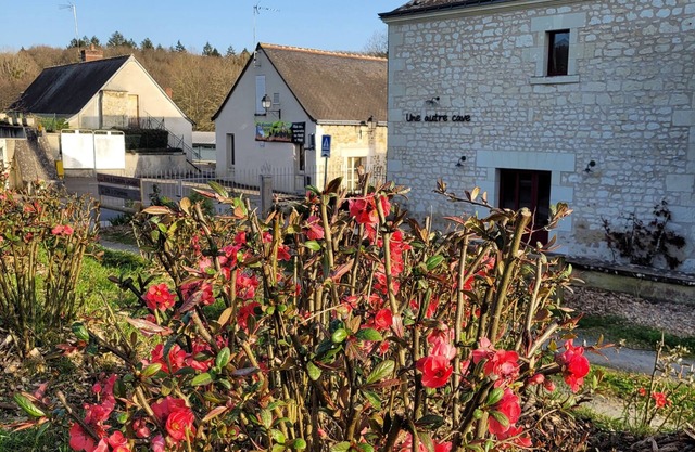 Bulle de campagne