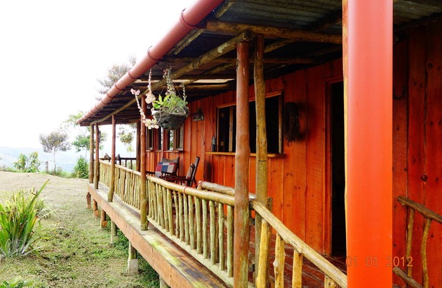 Bungalow in the jungle