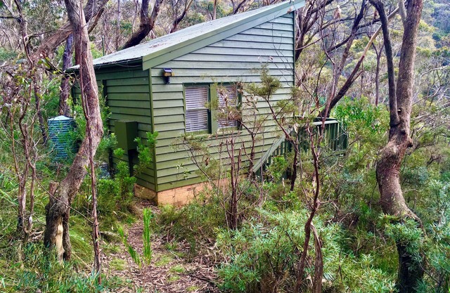 Bush Cabin Bliss Blue Mountains!