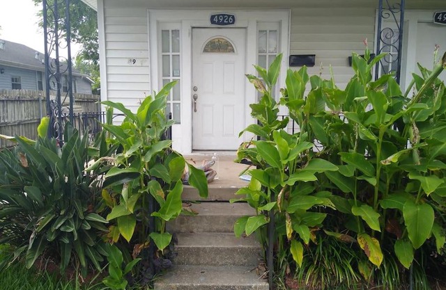 Buttermilk Drop in Gentilly