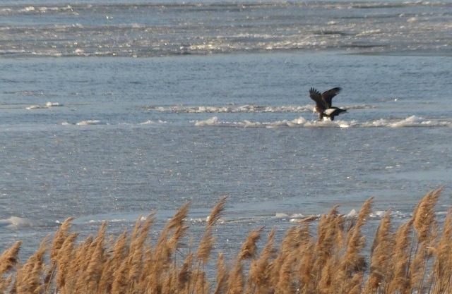 Buttonwood RV Beach Resort