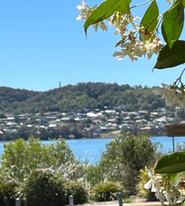 By the Lake - Lake Macquarie