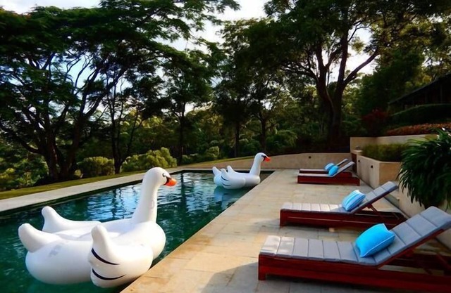 Byron Hinterland Retreat - Honeymoon
