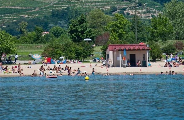 Côte-Rotie (7) - Wam Park