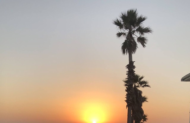 C-SCAPE *** Life is better at the beach ***