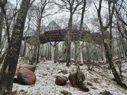 Cabaña Boreal, Punta del Bosque