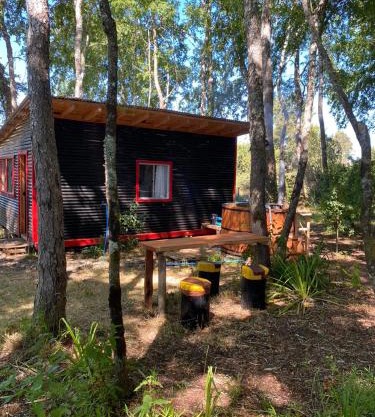 Cabaña en el bosque