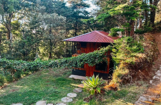 Cabaña Piqueza!
