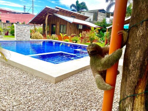 Cabañas Litos #2
