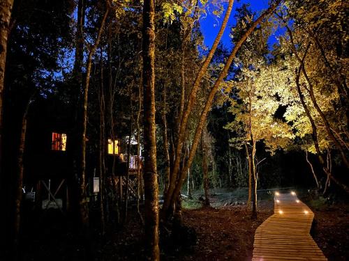 Cabañas Los Glaciares