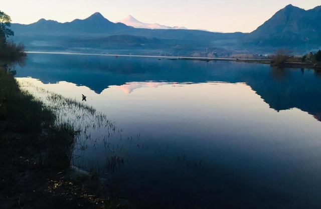 Cabañas Ruka Rayun vista y acceso al lago en Coñaripe