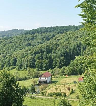 Cabana Țibleș