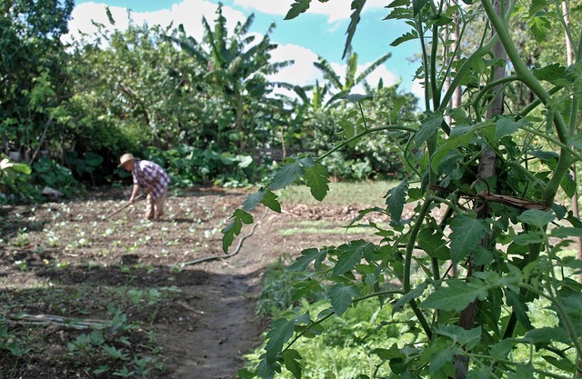Cabana del Sol - Ecological Farm
