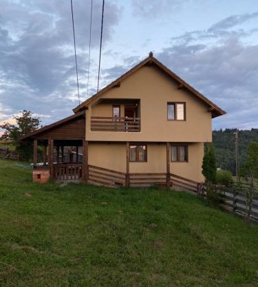 Cabana Vlad 1