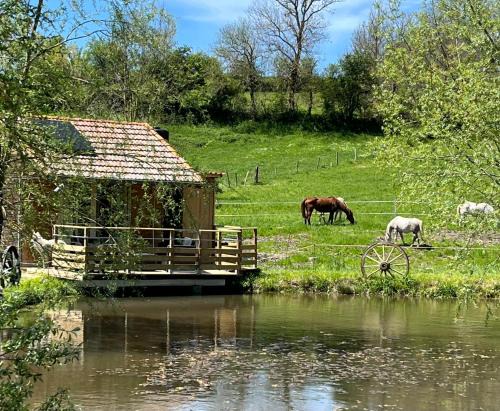 Cabane au bord d'un étang
