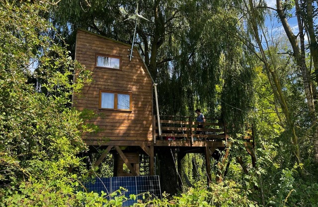 Cabane Dans l Arbre