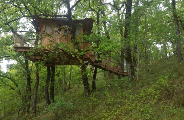Cabane Dans Les Arbres - La Pagode