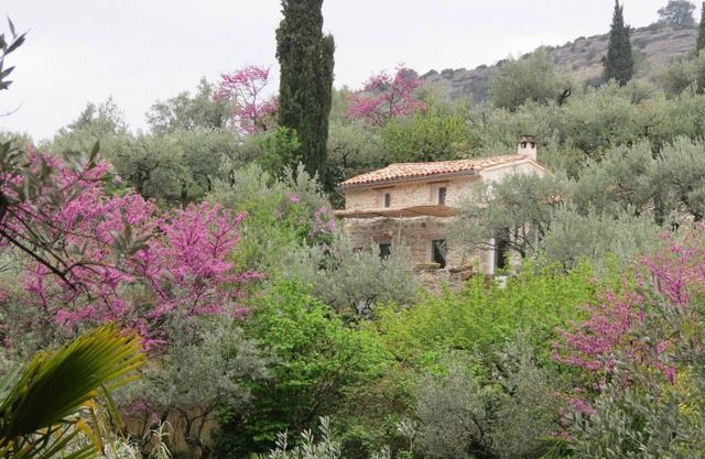 Cabanon in the olive trees in Nyons.