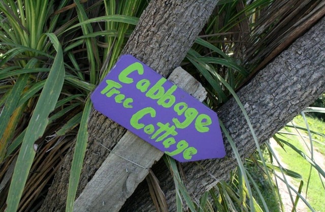 Cabbage Tree Cottage - Beautiful home, stunning location. Pet-friendly.