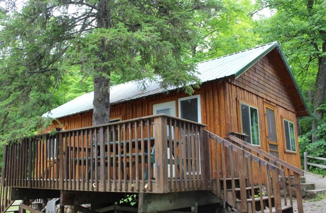 Cabin 8 - A newly remodeled with shaded deck on the lakeshore