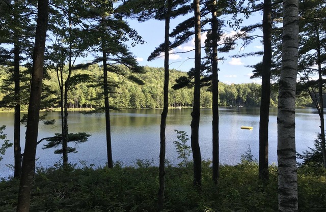 Cabin at private family friendly pond