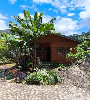 Cabin in Orosi