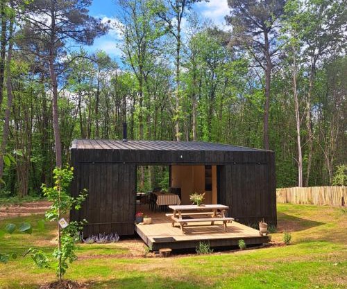 Cabin indebos