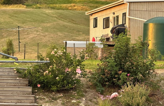 Cabin Kaipara bliss/peaceful, . Pet friendly