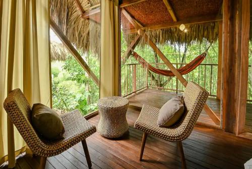 Cabin Nestled in Bamboo Forest