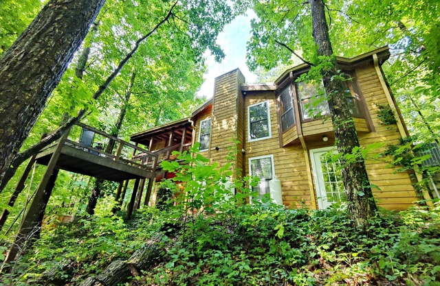 Cabin Nestled in the Trees. Firepit and Hot Tub!