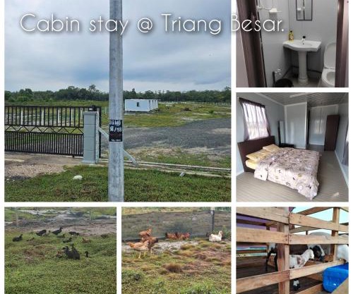 Cabin stay Triang Besar