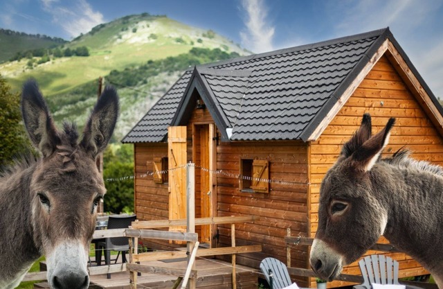 Cabin view on the mountain