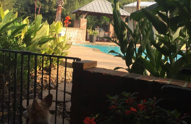 Cajun Getaway: "Home Away From Home" A little piece of paradise. Very relaxing.