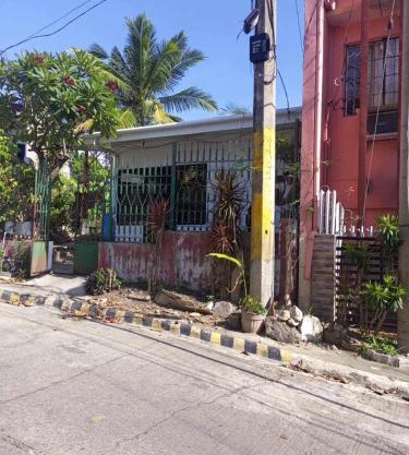Camellia home