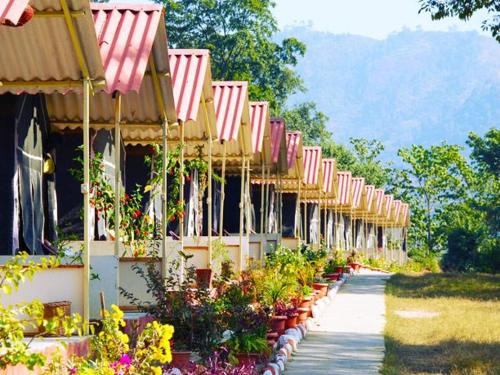 Camp High 5 Jayalgarh (Near Devprayag) by Himalayan Eco Lodges