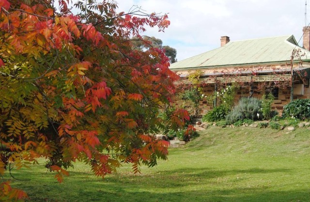 Camphill - Original 1860's Stone Homestead
