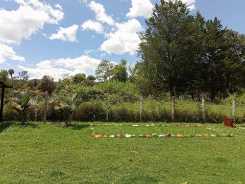Camping - Hospedaje Rural La Fortaleza