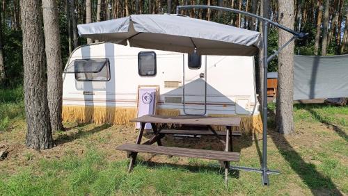 Camping w Lesie