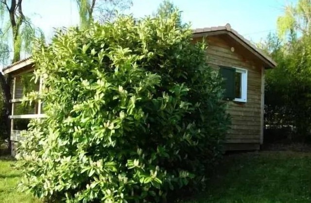 Campsite Les Lavandes * - Chalet ROMARIN basic + 5 people