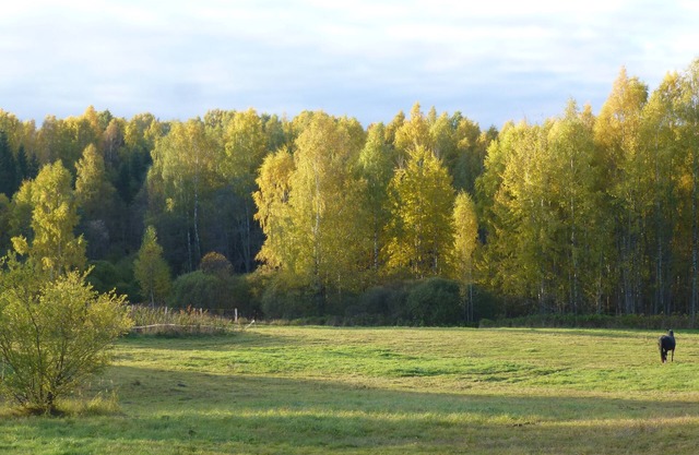 Caravan and campsite in the countryside near the lake and beach