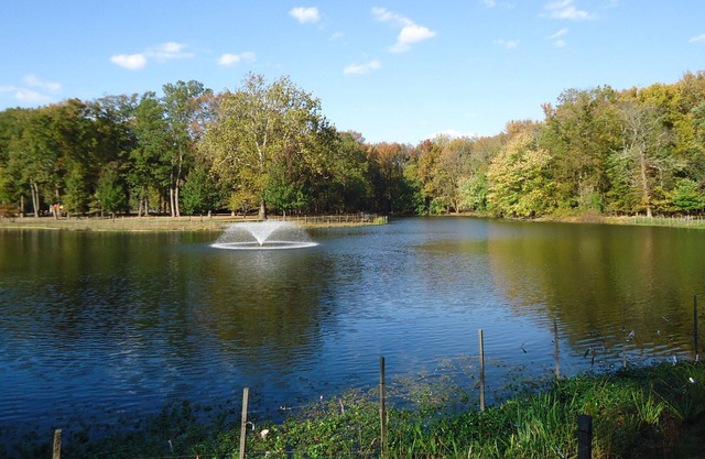 Carteret Getaway! 2 Pet-friendly Units, Free Parking, Onsite Bar, Near The Mills