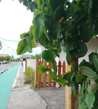 Casa Almendro