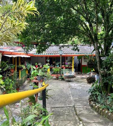 Casa de La Abuela Irene