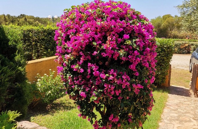 Casa di Gio - Bilocale con Giardino