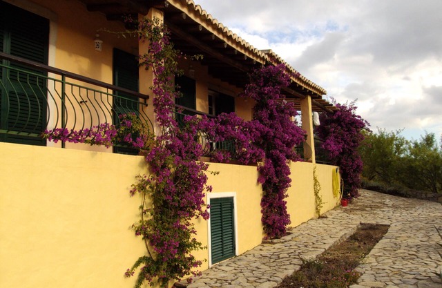 Casa do Castelao