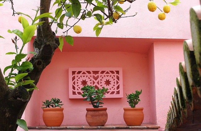 Casa do Limoeiro at Serpa's Historical Center