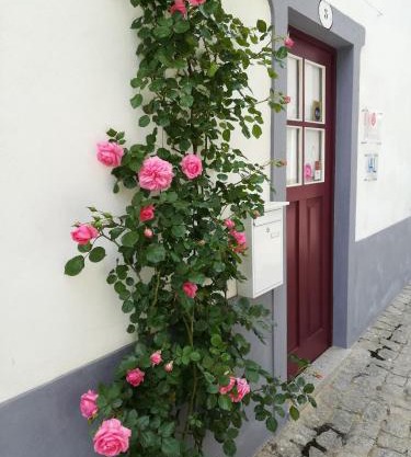 Casa do Ti Messias