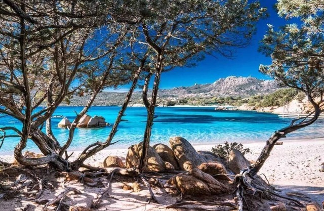 Casa indipendente nel cuore della Costa Smeralda - Comfort per famiglie e gruppi