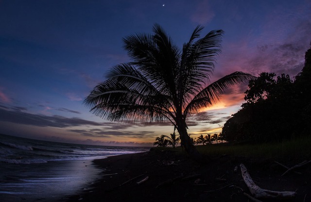 Casa Luna Tropical Beachfront Home At Luna Negra In Beautiful Playa Cambutal